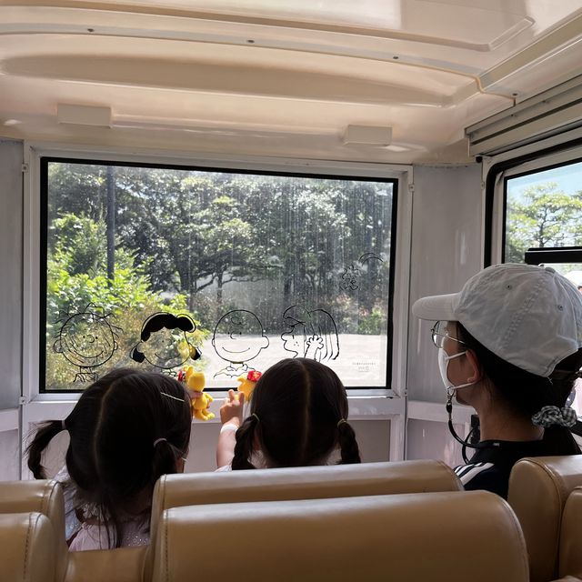 버스 투어도 가능한 스누피가든! 제주여행 핫플