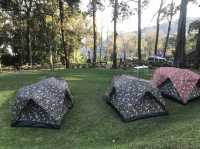 Mesmerizing Day tour at Doi Suthep Pui
