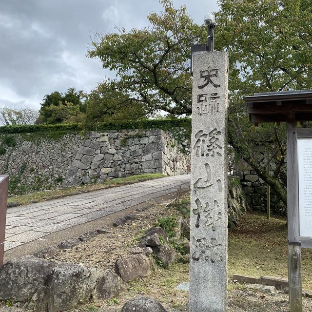 自然を感じられる城跡