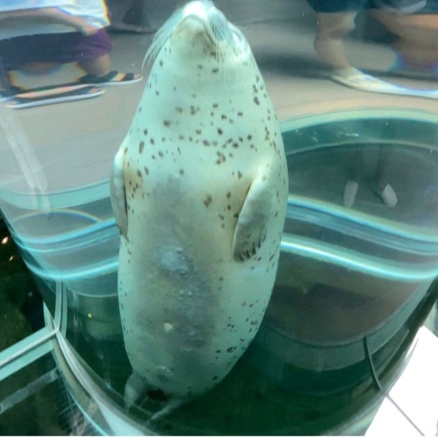 【旭山動物園】北海道/旭川市