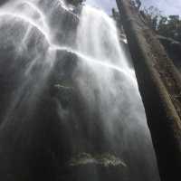 Tumalog Falls in Oslob 🤍