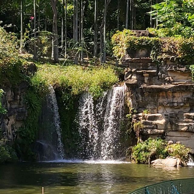 嘆柸咖啡欣賞青衣公園