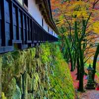 紅葉が素晴らしく　即身成仏のミイラがある珍しいお寺