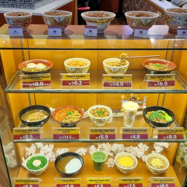 Japanese Gyudon With Different Bowl Sizes