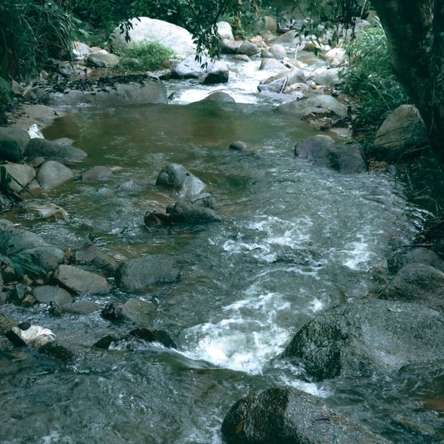 บ้านธารกล่อม นอนฟังเสียงน้ำไหลในอ้อมกอดธรรมชาติ 🌲