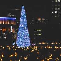 今年18回目の東京ドームシティのイルミネーション🎄✨