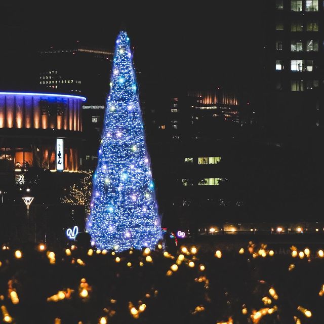 今年18回目の東京ドームシティのイルミネーション🎄✨
