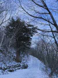 설산 등산 ❄️ 태백산 다녀왔어요