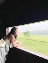 ส่องสัตว์กันที่ "หอดูสัตว์ หนองผักชี"⛰️🌳🐈