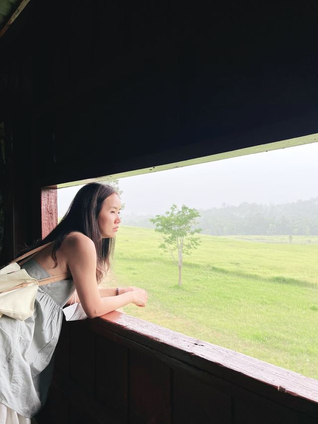 ส่องสัตว์กันที่ "หอดูสัตว์ หนองผักชี"⛰️🌳🐈