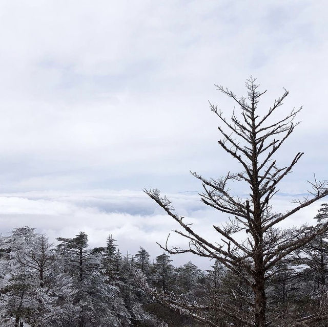 Mount Emei/Omei - Sichuan 