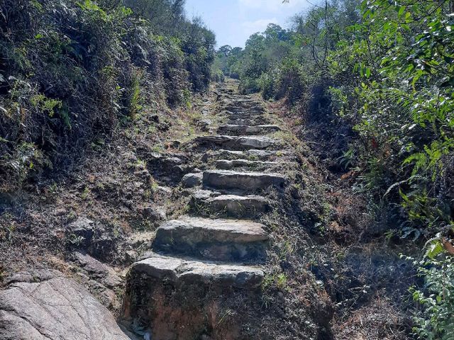簡單靚景 - 鹿頸至大尾篤