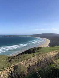 The Iconic Nugget Point Lighthouse