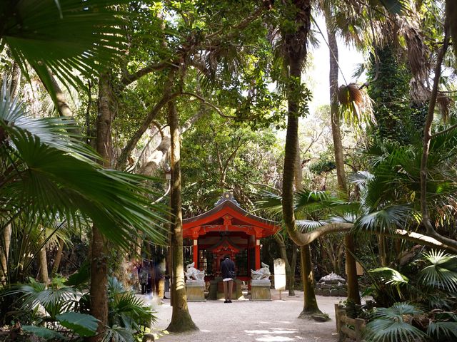 常夏な雰囲気の神社、青島神社