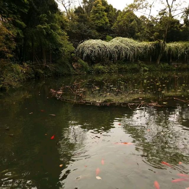 杜甫草堂，詩聖的故居🛖
