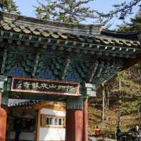 부안 봄여행 내변산 등산