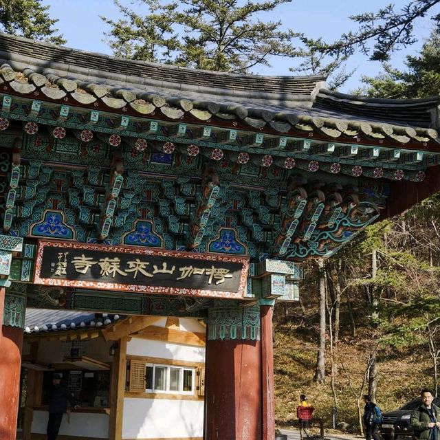 부안 봄여행 내변산 등산