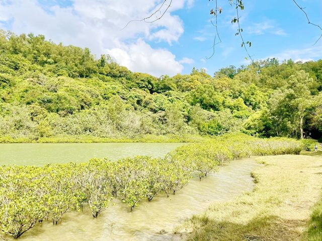 谷埔