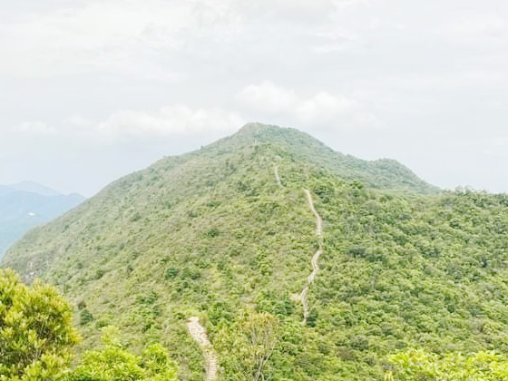 八仙嶺全走