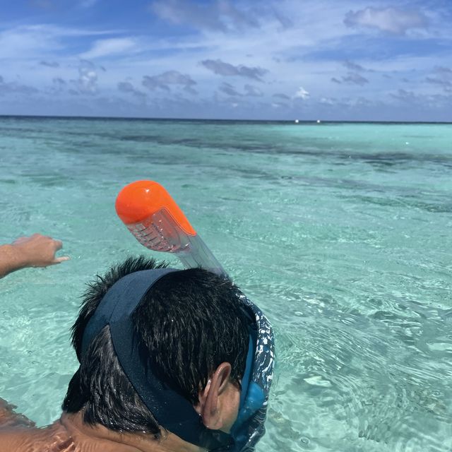 W Maldives Snorkeling 🤿 