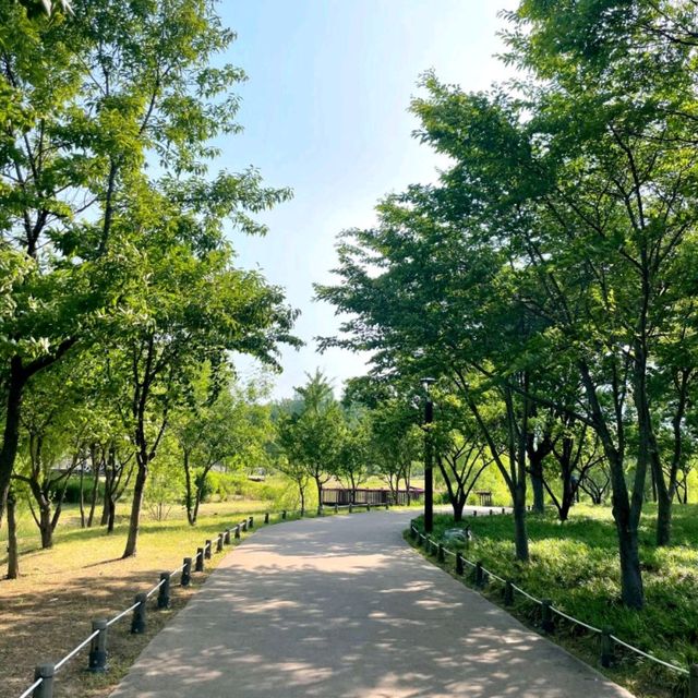 남양주 최고의 데이트코스, 다산생태공원