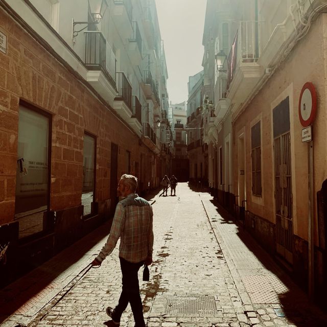 Incredible Royal Palace in Sevilla