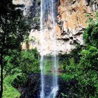 It's a Land Of Waterfall In Springbrook