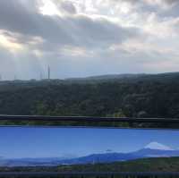 【静岡県】360℃絶景の吊橋へ！