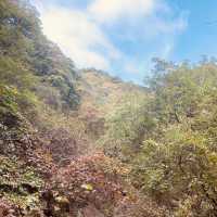 [용문] 가을 산행 단풍 구경🍁'용문산관광단지'