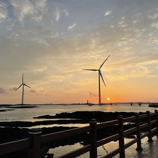 제주도 스노쿨링 해외감성 해변 “판포포구”
