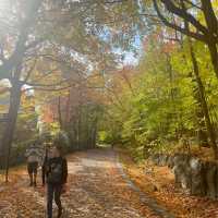 Fall in Canada 