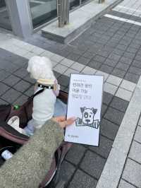 강원도 애견동반 호텔 “세인트존스”