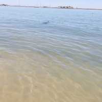 Bunbury Australia 