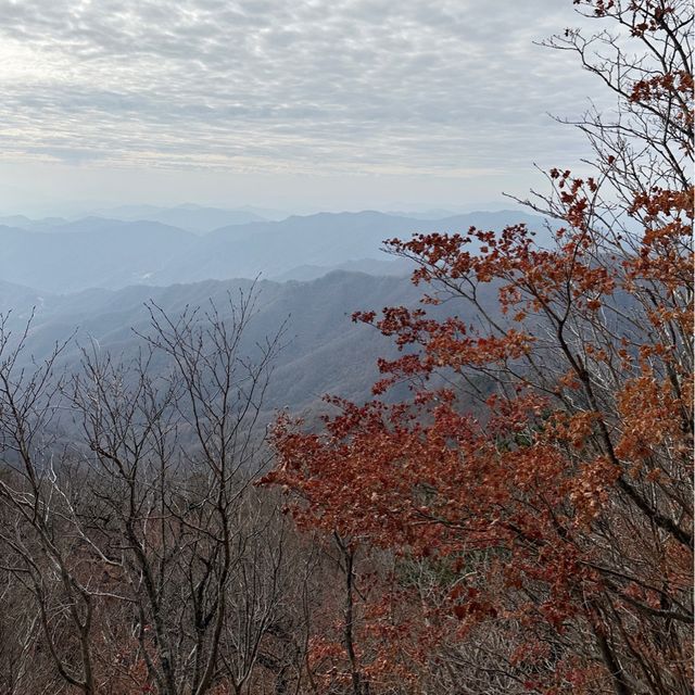 지리산 등산(순두류~법계사~천왕봉)