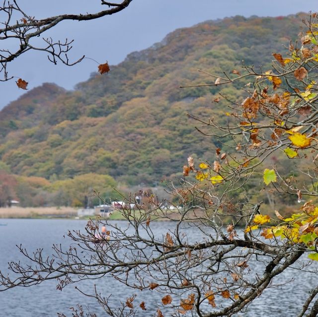 紅葉の榛名湖