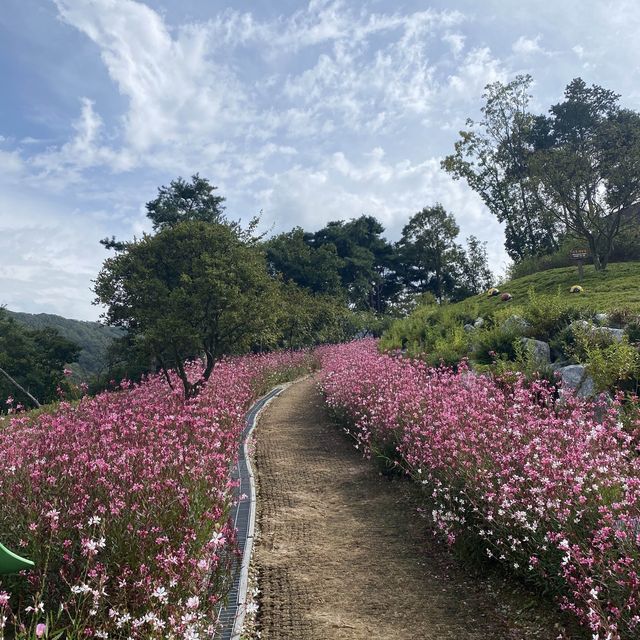 아이들과 가기 좋은 동화마을 수목원💚