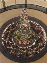 이보다 더 클 순 없는 대형 트리 카페 '인크커피'🎄