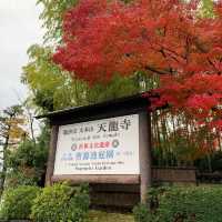 京都紅葉2022 天龍寺の紅葉