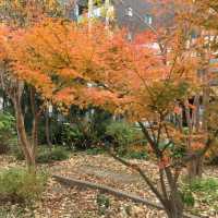 色とりどりの草花が豊富【東住吉公園】