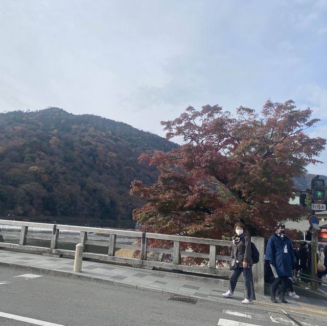 嵐山必到特色渡月橋