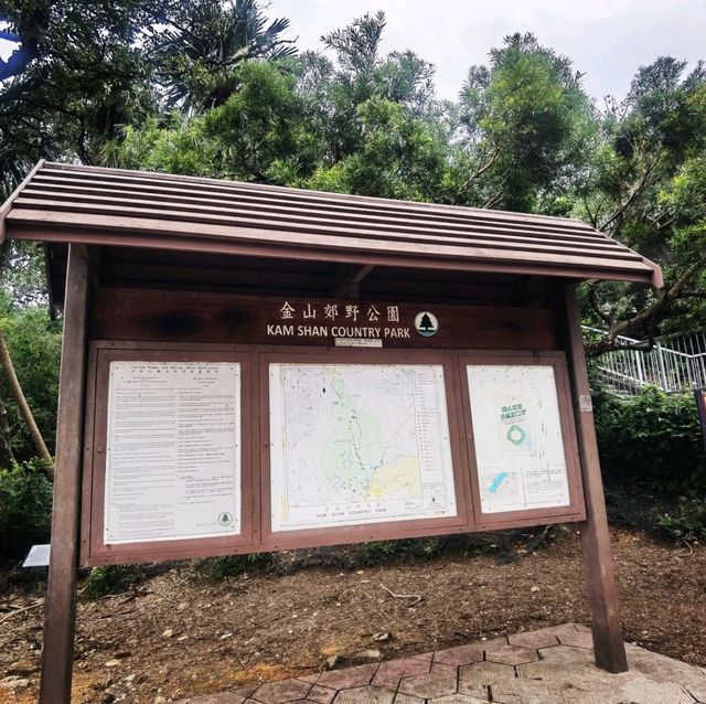 香港有個花果山