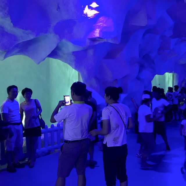 독특한 세트장 같은 아쿠아리움, 웨이하이 신유해양세계(威海神游海洋世界)