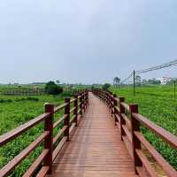 廣西南寧：中華茉莉園