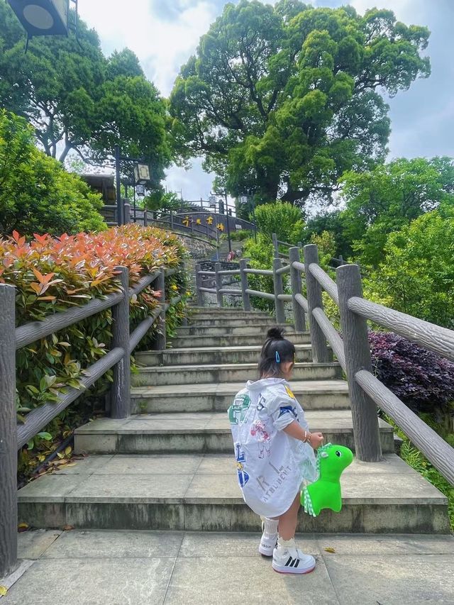 Go to the mountains and breathe in the forest | Off-the-beaten-path family hiking routes near Hangzhou