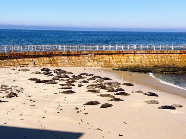 San Diego must-visit.