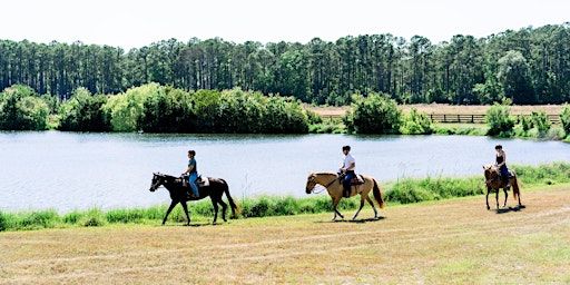 Longfield Stables - Spring Hunter Pace | 24 Healey Rd