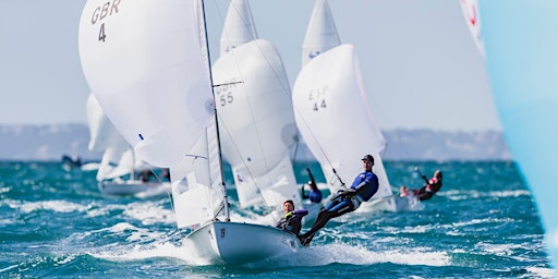 Auction for Olympics! | Warborne Farm