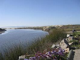 Central Coast Chapter - Paint/Sculpt-Out at Ira Lease Park in Pismo Beach | Ira Lease Park
