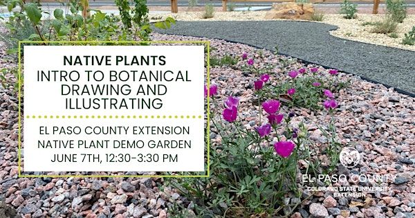 Native Plants: Introduction to Botanical Drawing and Illustrating | 17 N Spruce St