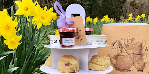 Alfresco Afternoon Tea | Leith Hall Garden & Estate